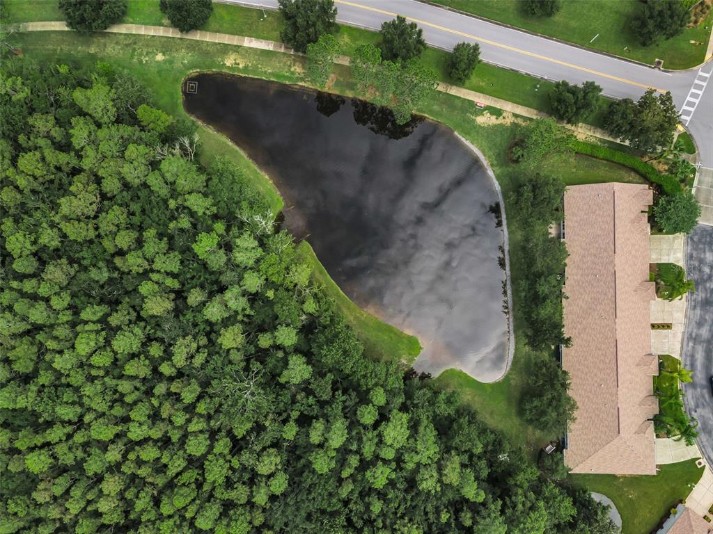 An aerial view shows a pond bordered by a dense forest and a residential building — 1553 ARLINGTON OAKS COURT, NEW PORT RICHEY, FL