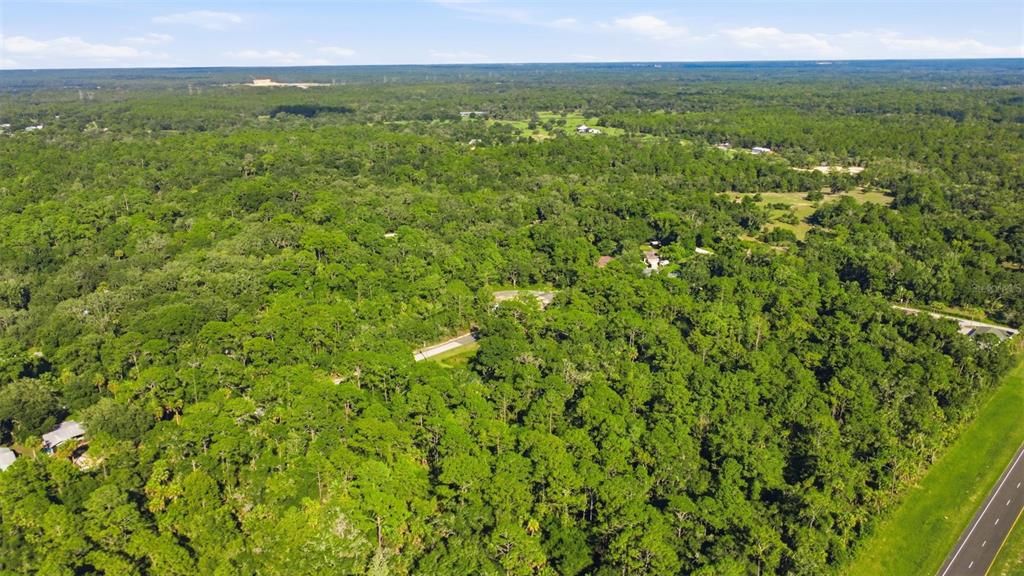 An aerial view shows a dense forest with a winding road and scattered residential homes — 11100 W CEDAR LAKE DRIVE, CRYSTAL RIVER, FL
