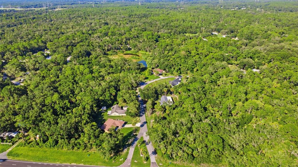 An aerial view shows several houses nestled within a dense, wooded area near a road — 11100 W CEDAR LAKE DRIVE, CRYSTAL RIVER, FL