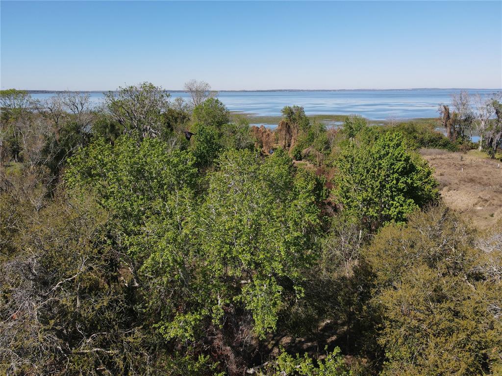 An aerial view shows a wooded lot overlooking a large lake under a clear sky — 1401 N FULLERS CROSS ROAD, WINTER GARDEN, FL