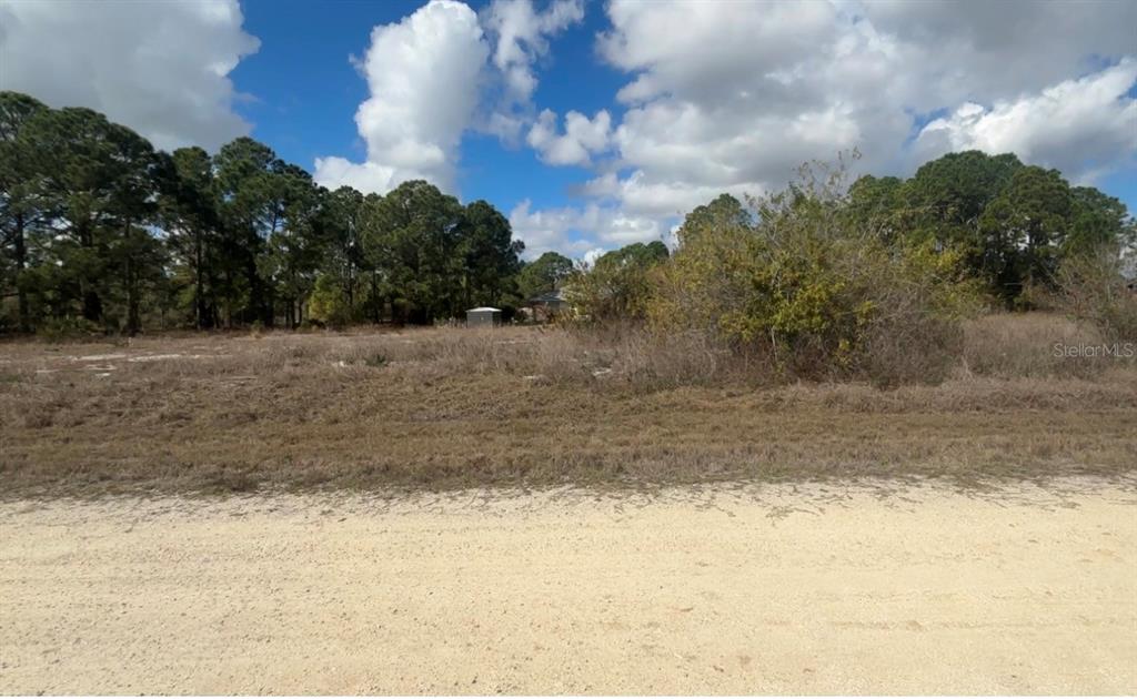 A vacant, grassy lot with scattered brush and trees under a blue sky — 648 TWILIGHT DRIVE, LAKE PLACID, FL