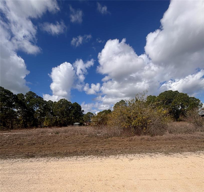 A vacant, grassy lot with scattered brush and trees under a cloudy blue sky — 648 TWILIGHT DRIVE, LAKE PLACID, FL