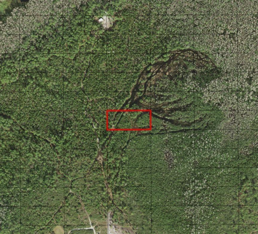 This aerial map shows a forested area with a red rectangle highlighting a specific section — 0 Holopaw Groves Road, FL 34772, FL