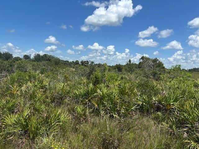 A view of a grassy, undeveloped lot with low-lying shrubs and scattered palm plants — 0 NW 314th Street, Okeechobee FL 34972, OKEECHOBEE, FL