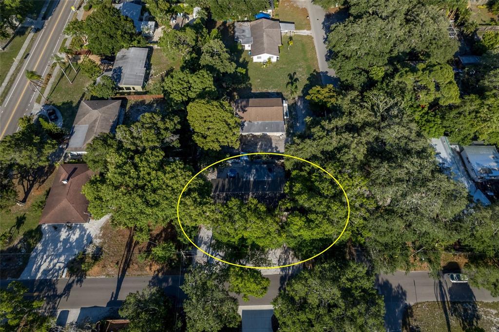 An aerial view shows a house surrounded by dense trees with a yellow oval overlay — 95 S BRIGGS AVENUE, SARASOTA, FL