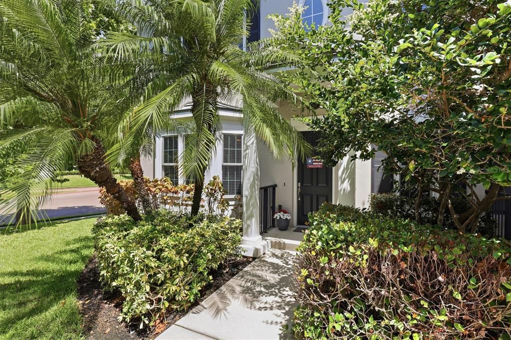 A concrete walkway leads to the front entrance of a house shaded by palm trees — 480 GILMAN PLACE N, ST PETERSBURG, FL