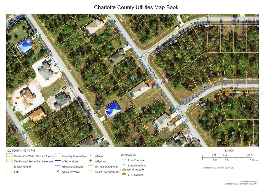 This is a utility map showing property lots, water service lines, and sewer infrastructure — 207 AUSTRALIAN DRIVE, ROTONDA WEST, FL