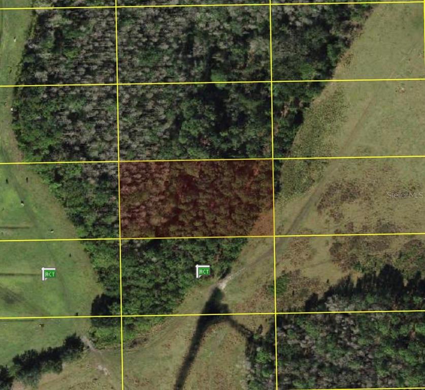 This aerial view shows a wooded plot of land outlined by a yellow grid — POLK CITY, POLK CITY, FL