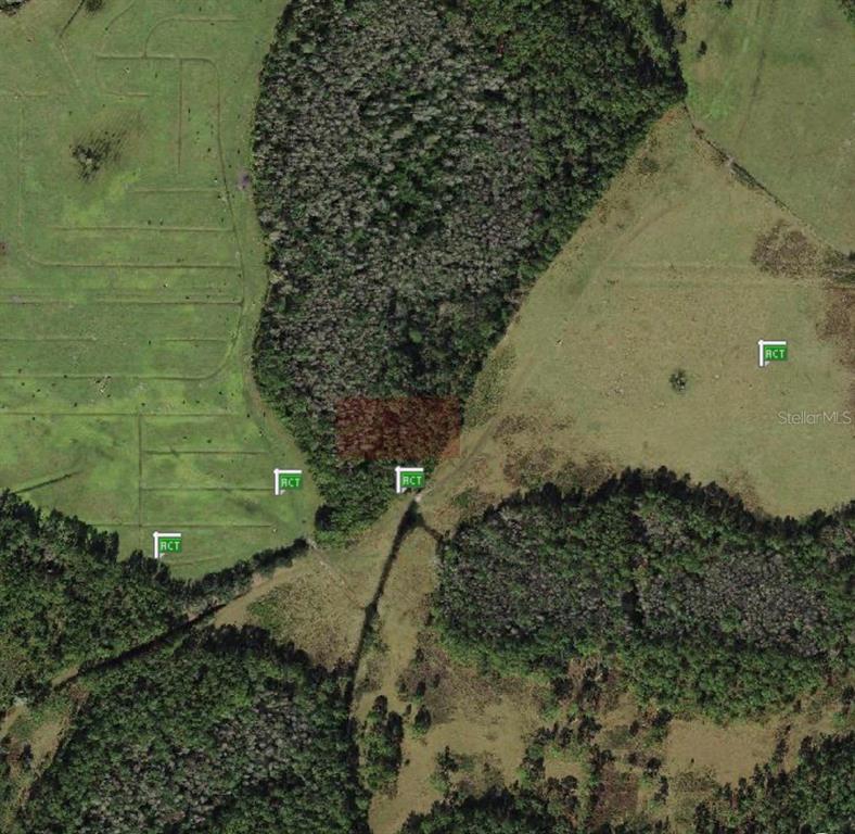 This is an aerial map view showing a rectangular plot of land within a wooded area — POLK CITY, POLK CITY, FL