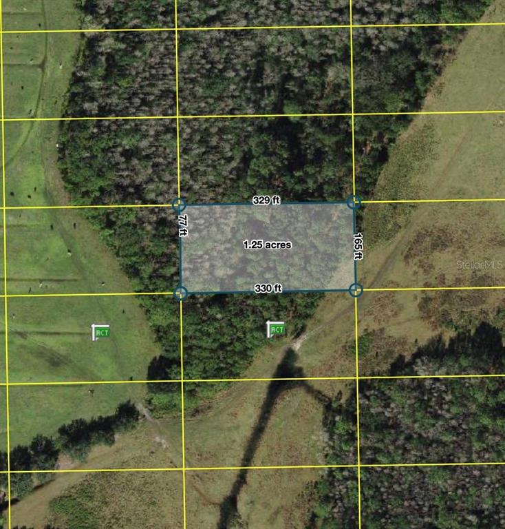 An aerial map shows a rectangular 1.25-acre plot of land marked with boundary dimensions — POLK CITY, POLK CITY, FL