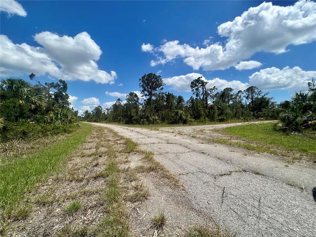 An old paved road forks through a grassy, wooded area under a bright blue sky — CHINABOX STREET, NORTH PORT, FL