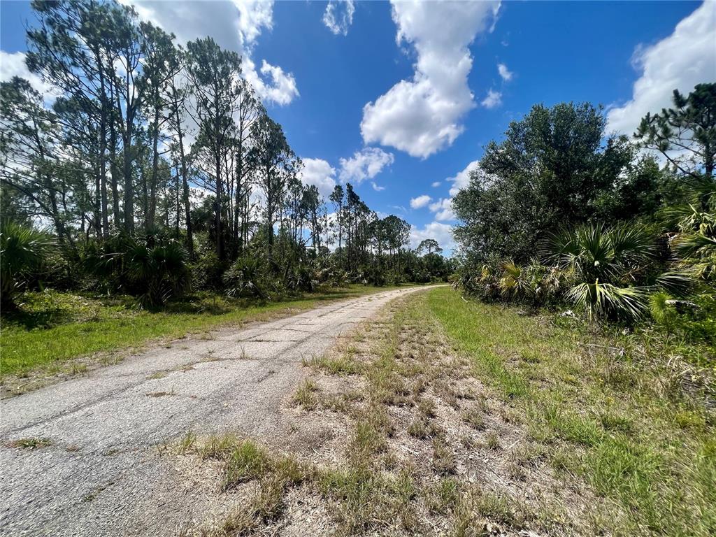 A paved road winds through a wooded area under a blue sky with scattered clouds — CHINABOX STREET, NORTH PORT, FL