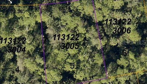 This is a satellite map view showing a wooded land parcel outlined in purple — PINKLADY LANE, NORTH PORT, FL