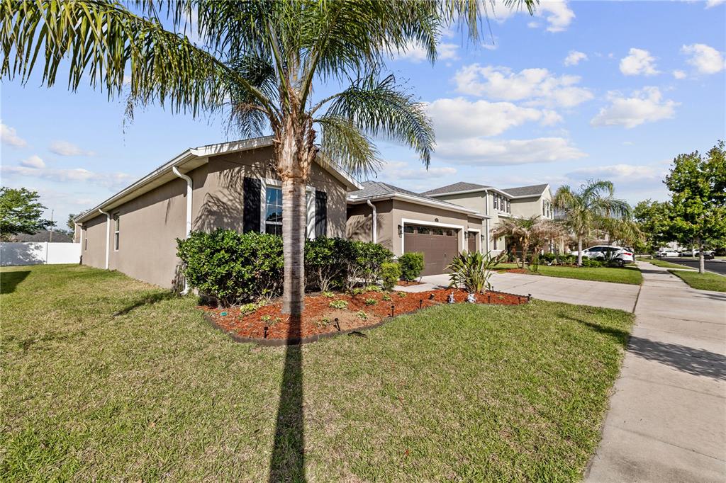 A single-story house with a palm tree in the front yard and a concrete driveway — 5453 SUNCATCHER DRIVE, WESLEY CHAPEL, FL