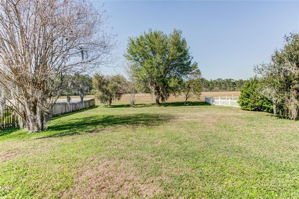 A grassy backyard features mature trees and a white picket fence bordering an open field — 1551 AMARYLLIS CIRCLE, ORLANDO, FL