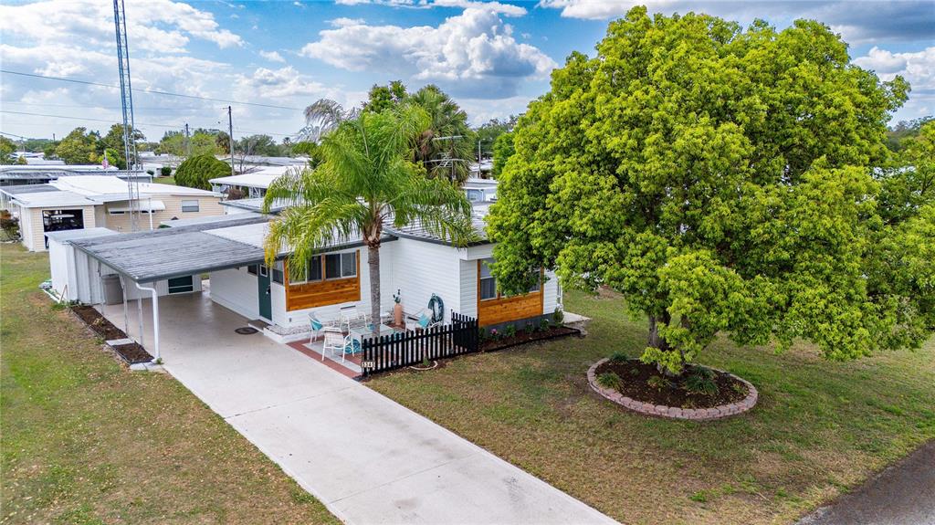An exterior view of a single-story home with a carport, palm tree, and large tree — 5345 JO STREET, ZEPHYRHILLS, FL