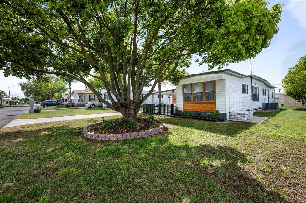 A white mobile home with a large tree and a brick-bordered garden in the yard — 5345 JO STREET, ZEPHYRHILLS, FL