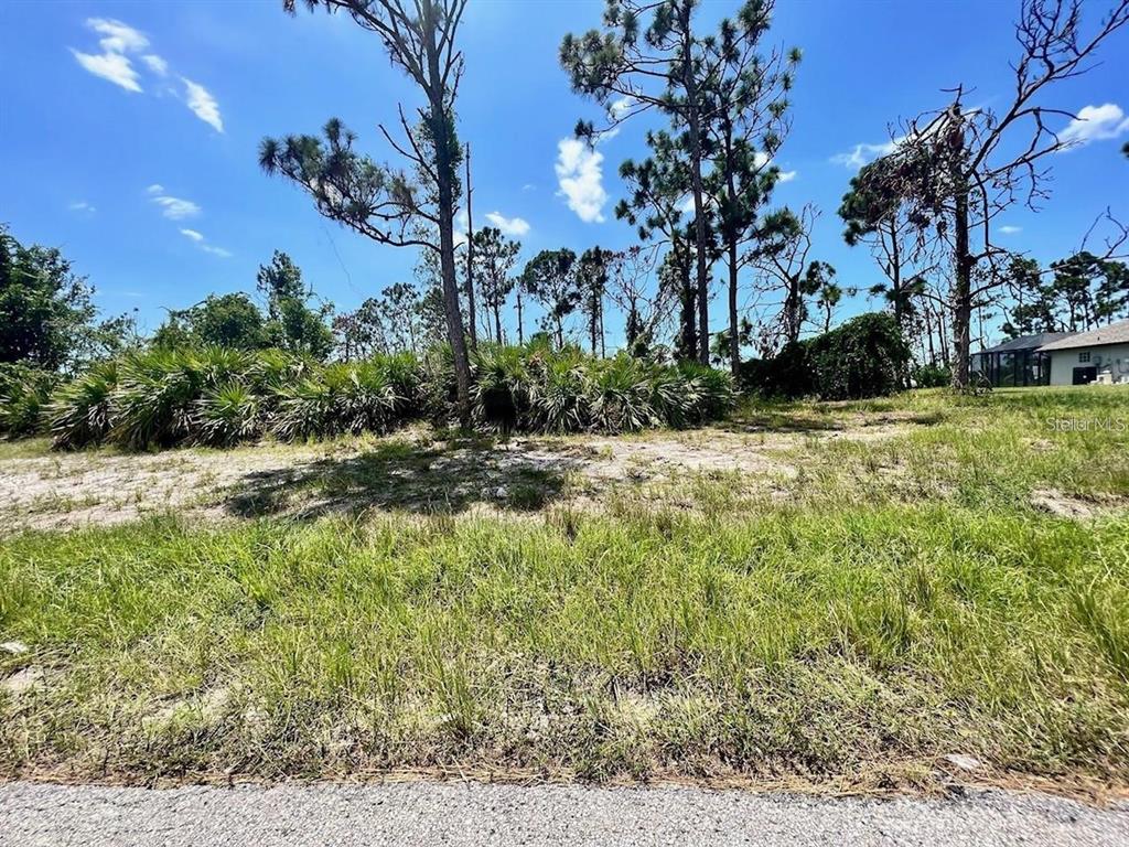 A vacant, grassy lot features sandy patches, scattered pine trees, and dense palmetto bushes — 230 FAIRWAY ROAD, ROTONDA WEST, FL