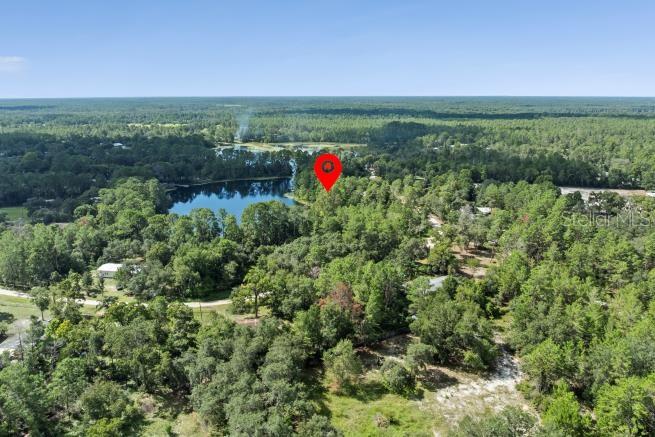 An aerial view shows a wooded lot with a red location pin near a lake — PINE VALLEY DRIVE, PAISLEY, FL
