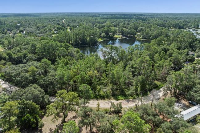 An aerial view shows a wooded lot with a lake and a dirt road — PINE VALLEY DRIVE, PAISLEY, FL