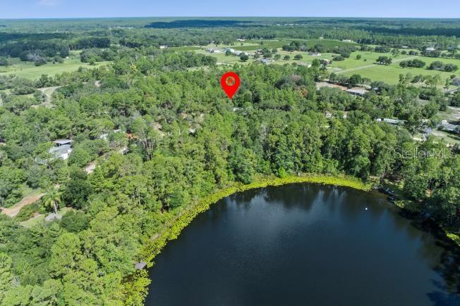 An aerial view shows a wooded lot with a red location pin near a lake — PINE VALLEY DRIVE, PAISLEY, FL