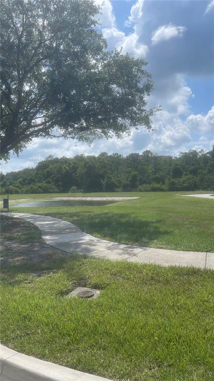 A concrete walkway leads through a grassy park area toward a small pond and trees — 1918 SWEET BIRCH LANE, ORLANDO, FL