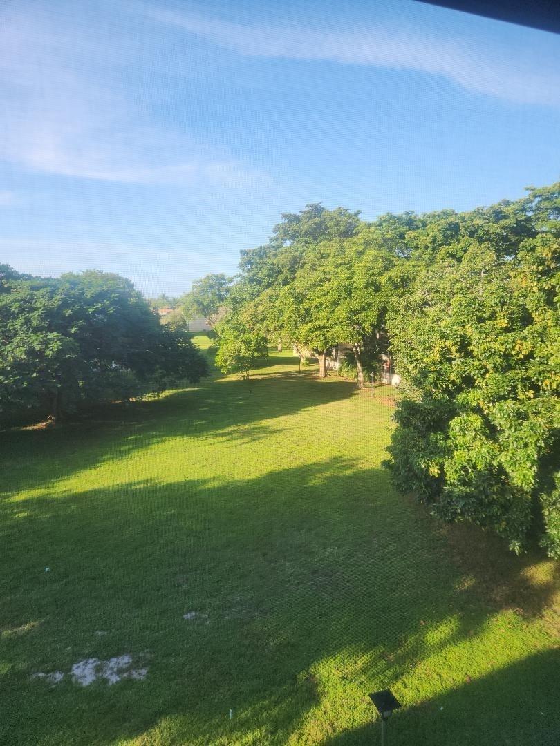 A view of a grassy lawn surrounded by mature trees under a clear blue sky — 613 S State Road 7 # 3E, Margate FL 33068, MARGATE, FL