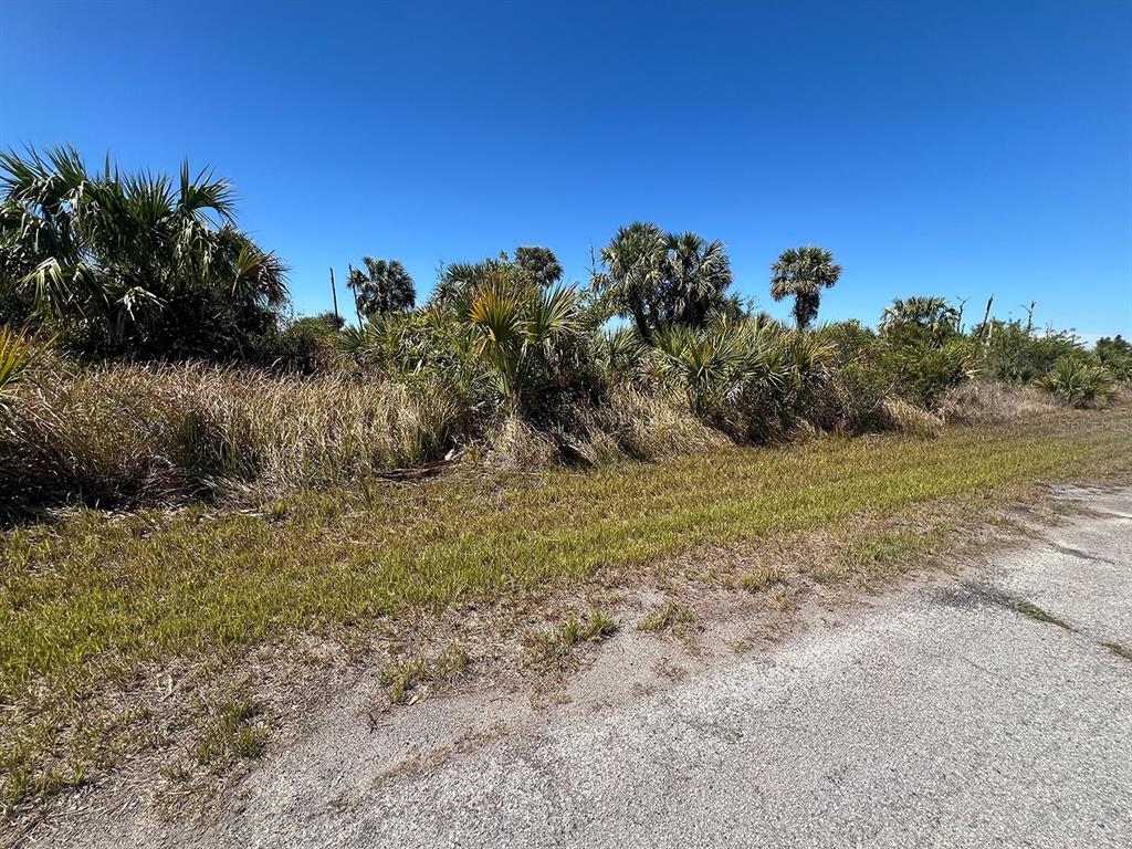 FARVIEW DRIVE, NORTH PORT, FL — photo 3 of 11