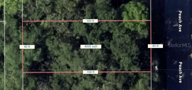 An aerial map shows a rectangular plot of land measuring 100 feet by 40 feet — PEACH AVENUE, SANFORD, FL