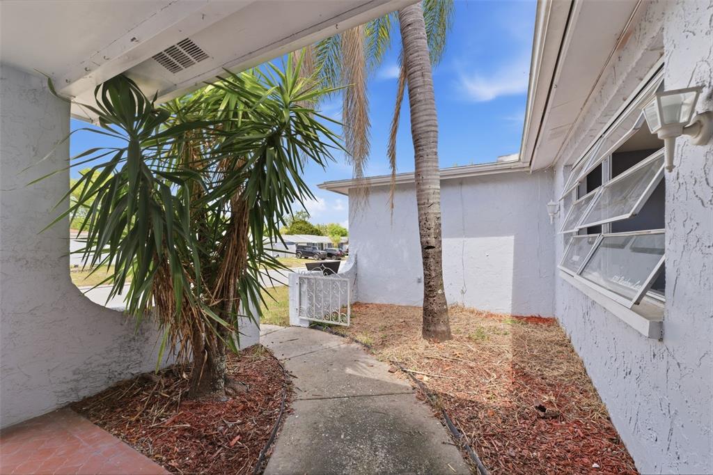 A single-story house with a light-colored exterior, a palm tree, and a concrete driveway — 9720 RAINBOW LANE, PORT RICHEY, FL