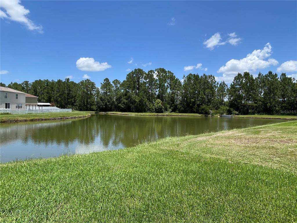 A grassy yard overlooks a pond bordered by a dense line of trees — 5036 WHISTLING PINES COURT, WESLEY CHAPEL, FL