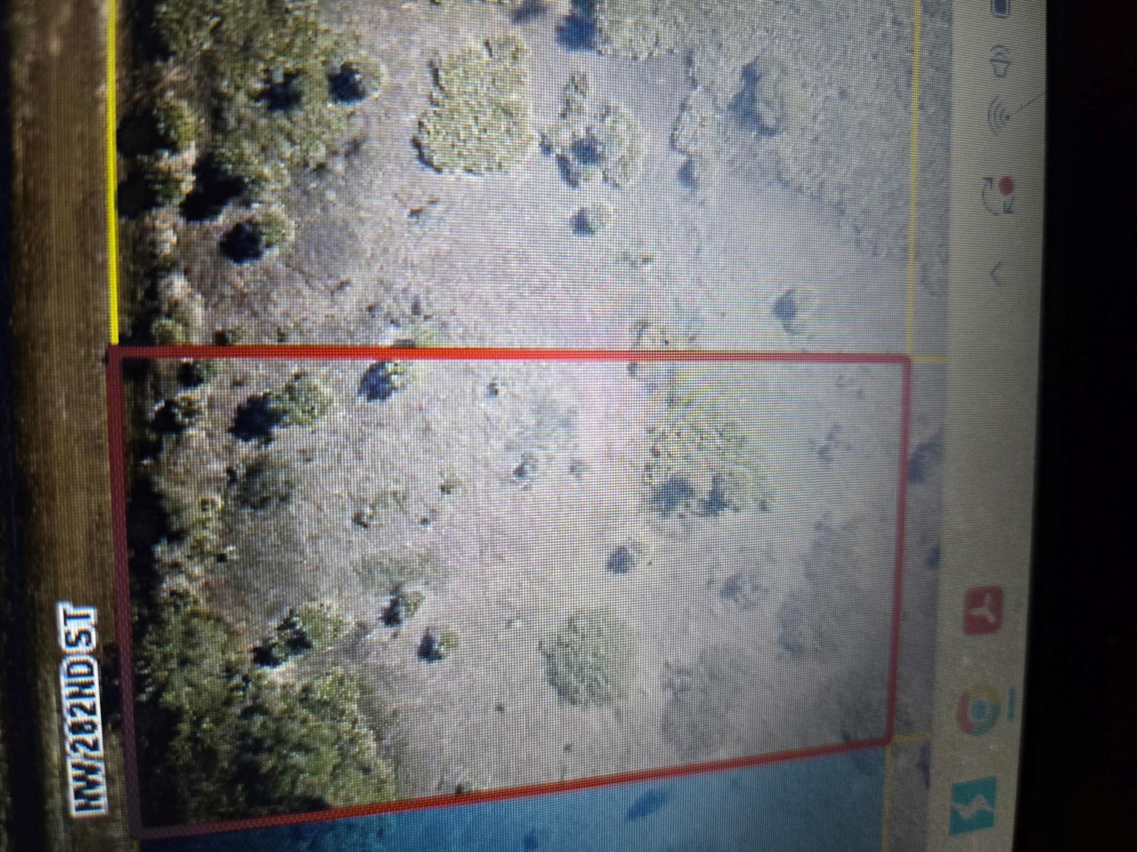 This is an aerial map view showing a rectangular plot of land with scattered trees — 20224 NW 282nd Street, Okeechobee FL 34972, OKEECHOBEE, FL