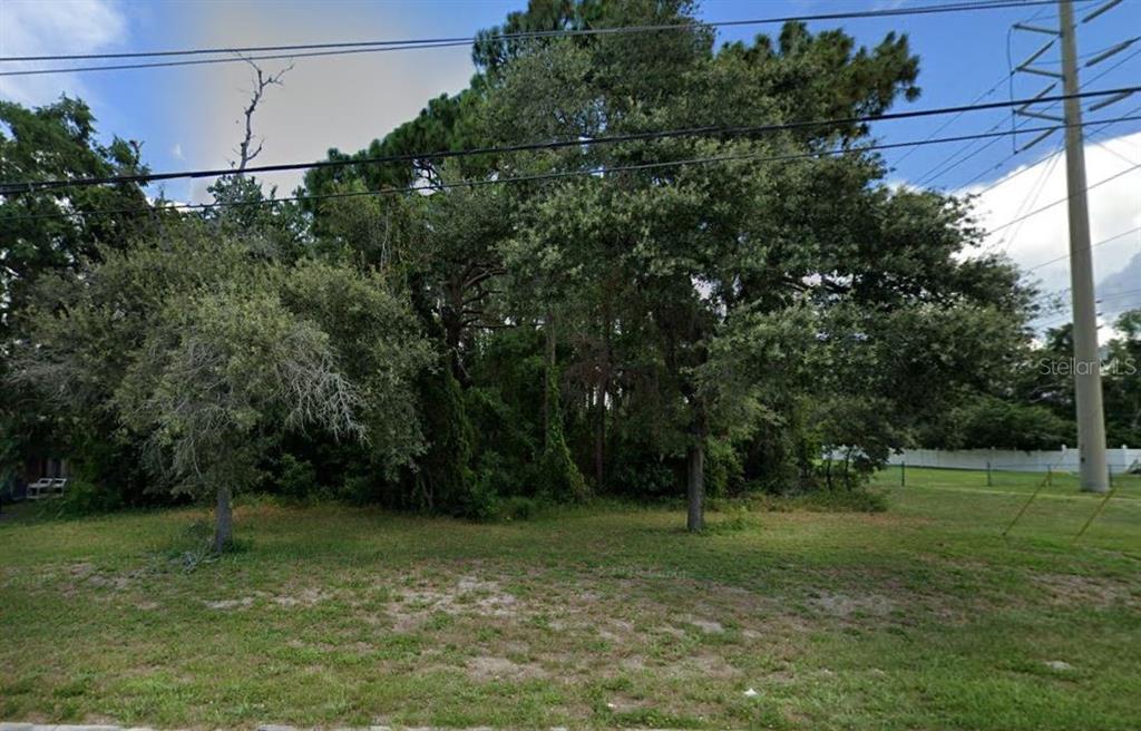 A grassy lot features a dense cluster of trees and a tall utility pole — 0 SPRING HILL DR LOT 13, SPRING HILL, FL