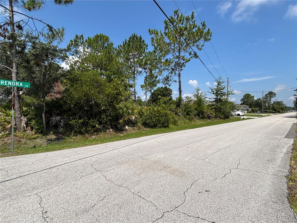 A paved street corner features a green street sign labeled Renora Ln and wooded vegetation — 64 FRENORA LANE, PALM COAST, FL