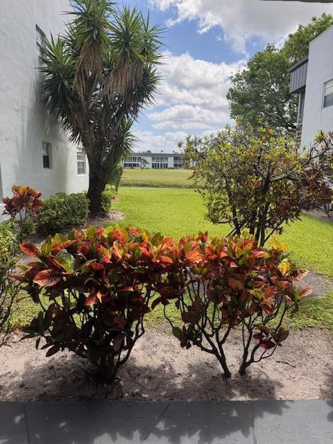 A view of a grassy courtyard between two white buildings with colorful croton bushes — 6 Normandy A, Delray Beach FL 33484, DELRAY BEACH, FL