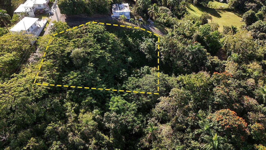 An aerial view shows a rectangular plot of land outlined in yellow amidst dense vegetation — BO. CRUCES CARR 414 KM. HM. 0.5, RINCON, PR