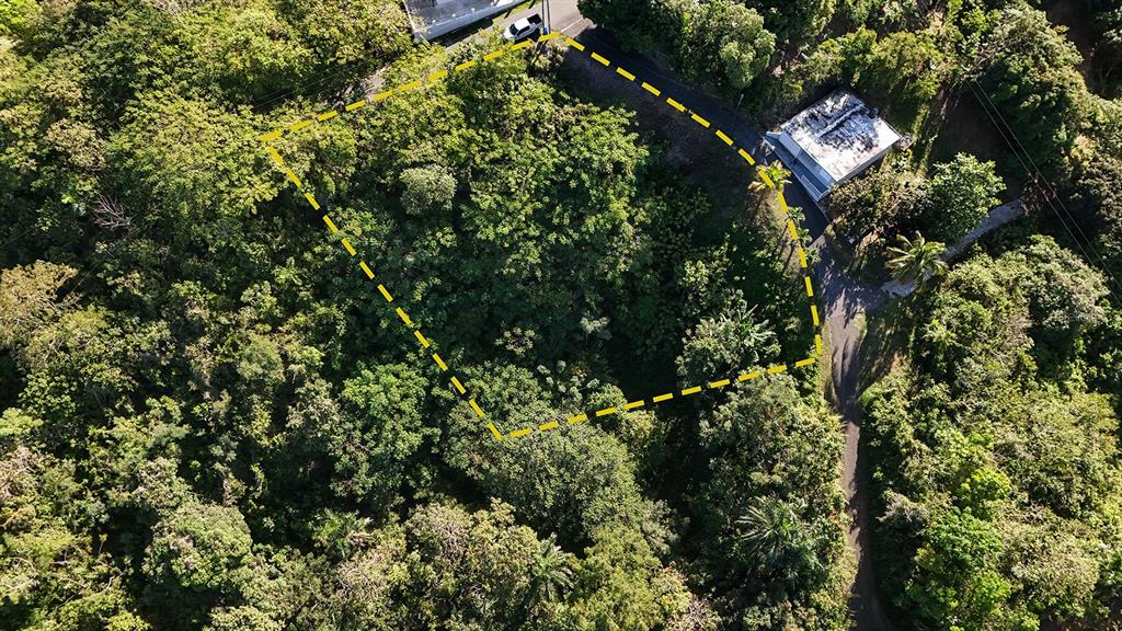 An aerial view shows a wooded, undeveloped lot outlined in yellow next to a small building — BO. CRUCES CARR 414 KM. HM. 0.5, RINCON, PR