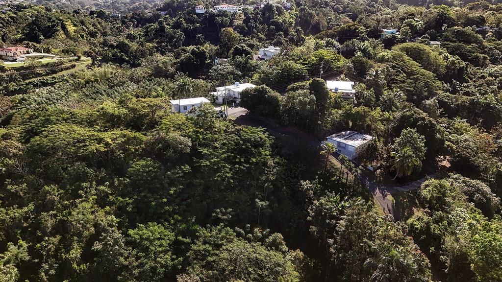 An aerial view shows several houses nestled within a dense, green, hilly forest landscape — BO. CRUCES CARR 414 KM. HM. 0.5, RINCON, PR