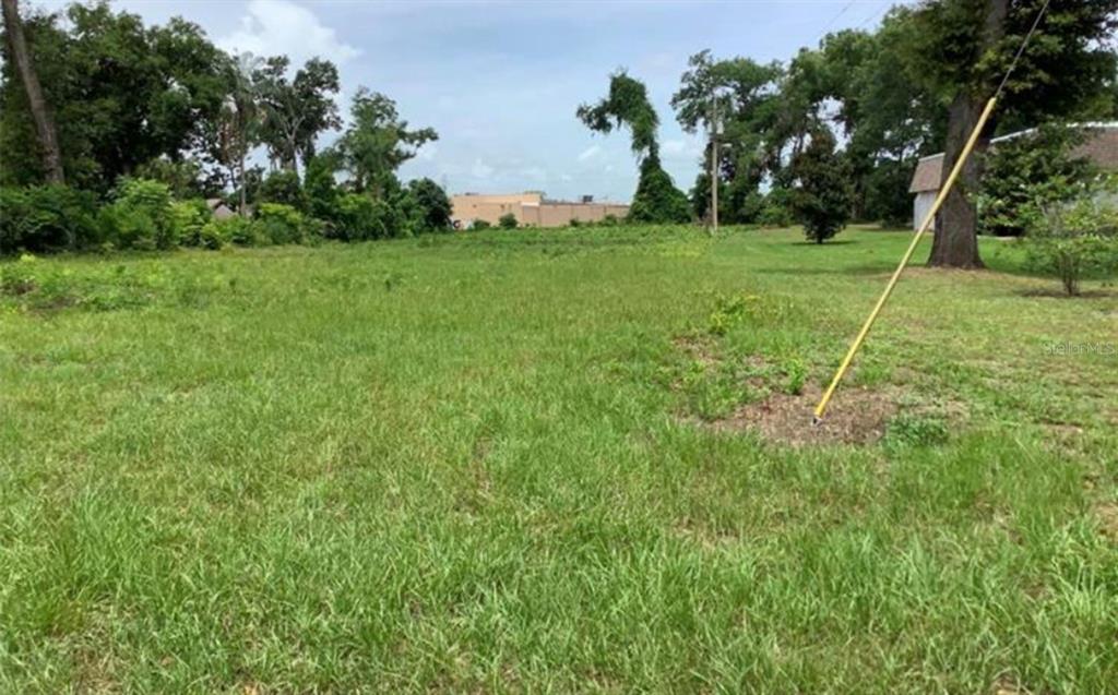 A grassy, undeveloped lot features scattered trees and a utility pole under a cloudy sky — 0 SAND AVENUE, APOPKA, FL