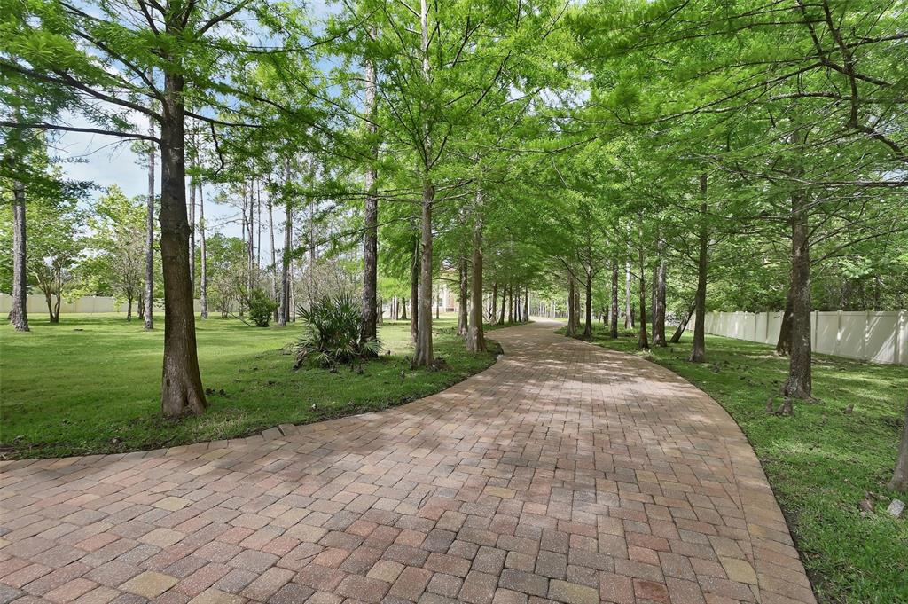 A paved brick driveway curves through a grassy yard lined with tall, slender trees — 443 JUNIPER LANE, ORMOND BEACH, FL