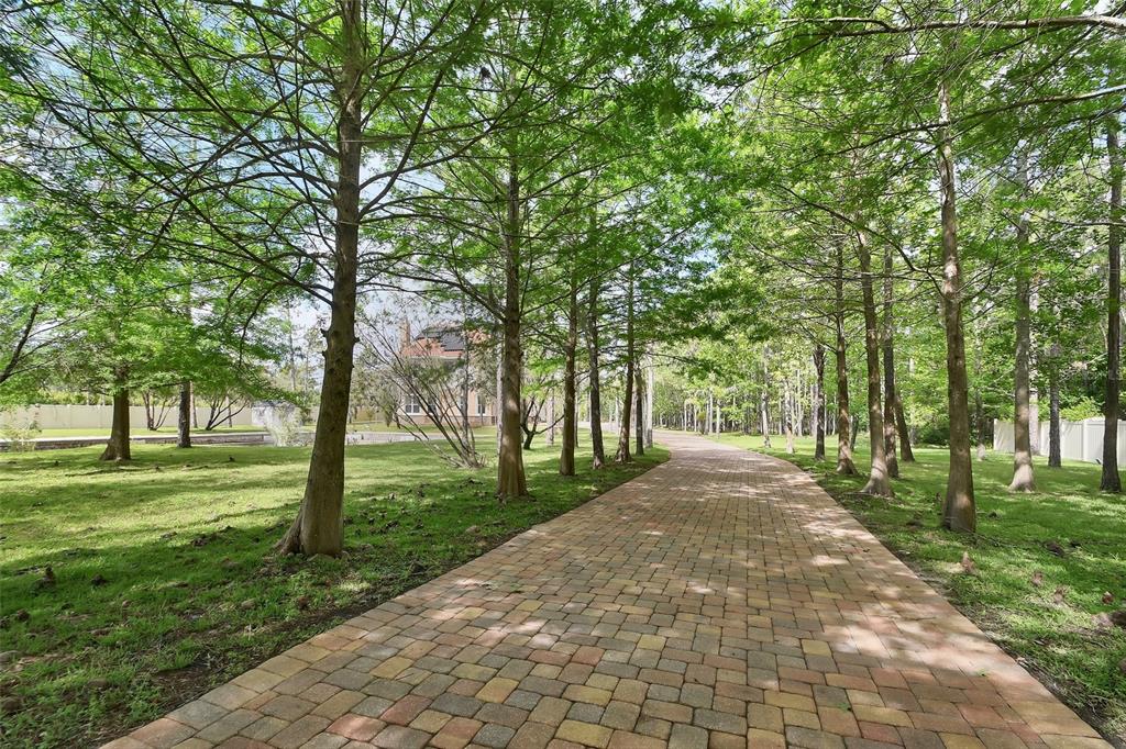 A paved brick driveway winds through a grassy yard lined with tall, slender trees — 443 JUNIPER LANE, ORMOND BEACH, FL