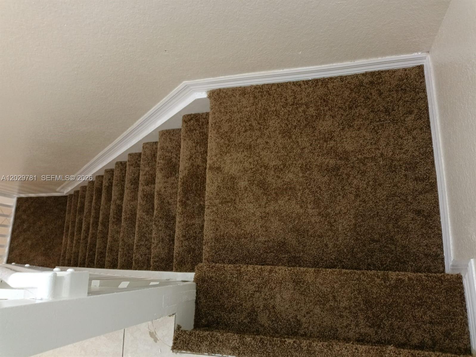 A high-angle view shows a carpeted staircase with brown carpeting and white trim — 1936 Alamanda Way # 1, Riviera Beach FL 33404, RIVIERA BEACH, FL