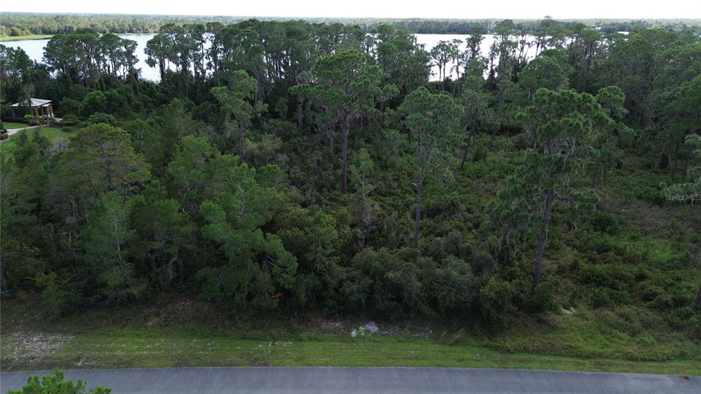 3029 HAWKS LANDING CIRCLE, SEBRING, FL — photo 2 of 20