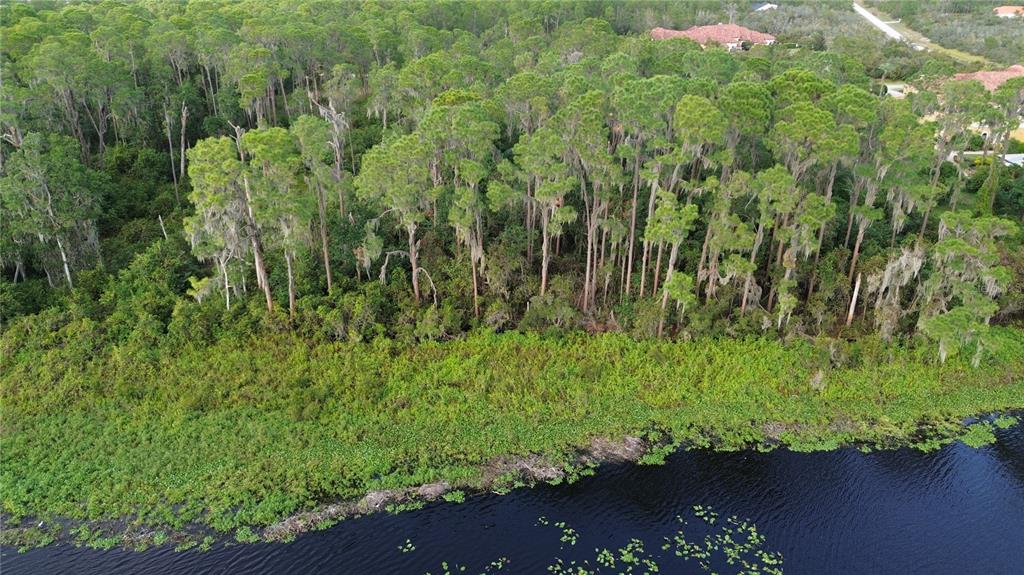 3029 HAWKS LANDING CIRCLE, SEBRING, FL — photo 3 of 20