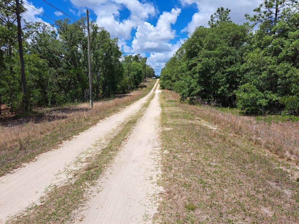 A dirt road stretches through a wooded area under a blue sky with clouds — 0 SW 64 STREET ROAD, OCALA, FL