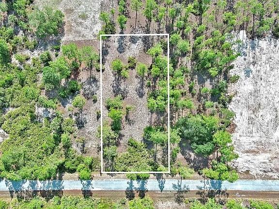 An aerial view shows a rectangular plot of land marked by a white border — 317 FITCH AVENUE, LEHIGH ACRES, FL