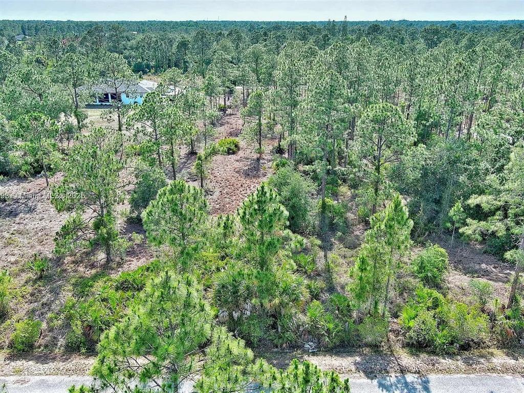 An aerial view shows a wooded, undeveloped lot with a house visible in the distance — 317 FITCH AVENUE, LEHIGH ACRES, FL