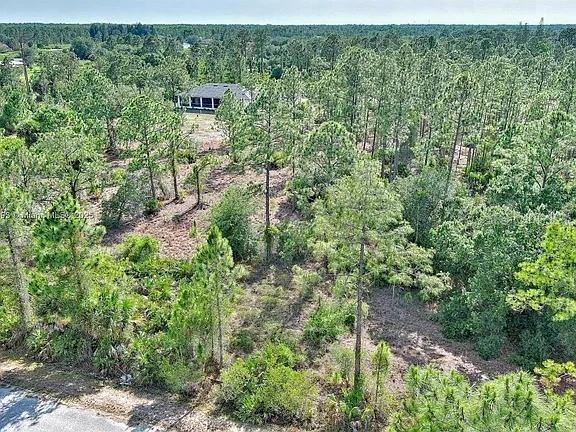 An aerial view shows a wooded lot with a house in the background — 317 FITCH AVENUE, LEHIGH ACRES, FL