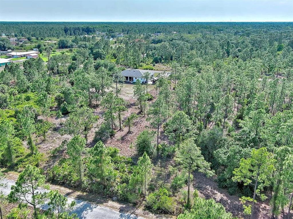 An aerial view shows a single-story house surrounded by a dense, wooded forest — 317 FITCH AVENUE, LEHIGH ACRES, FL