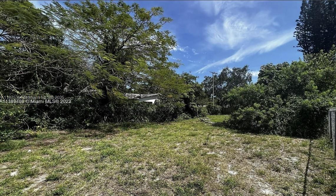A grassy, overgrown vacant lot is surrounded by dense trees and shrubs under a blue sky — 1924 Sheridan St, Hollywood FL 33020, HOLLYWOOD, FL
